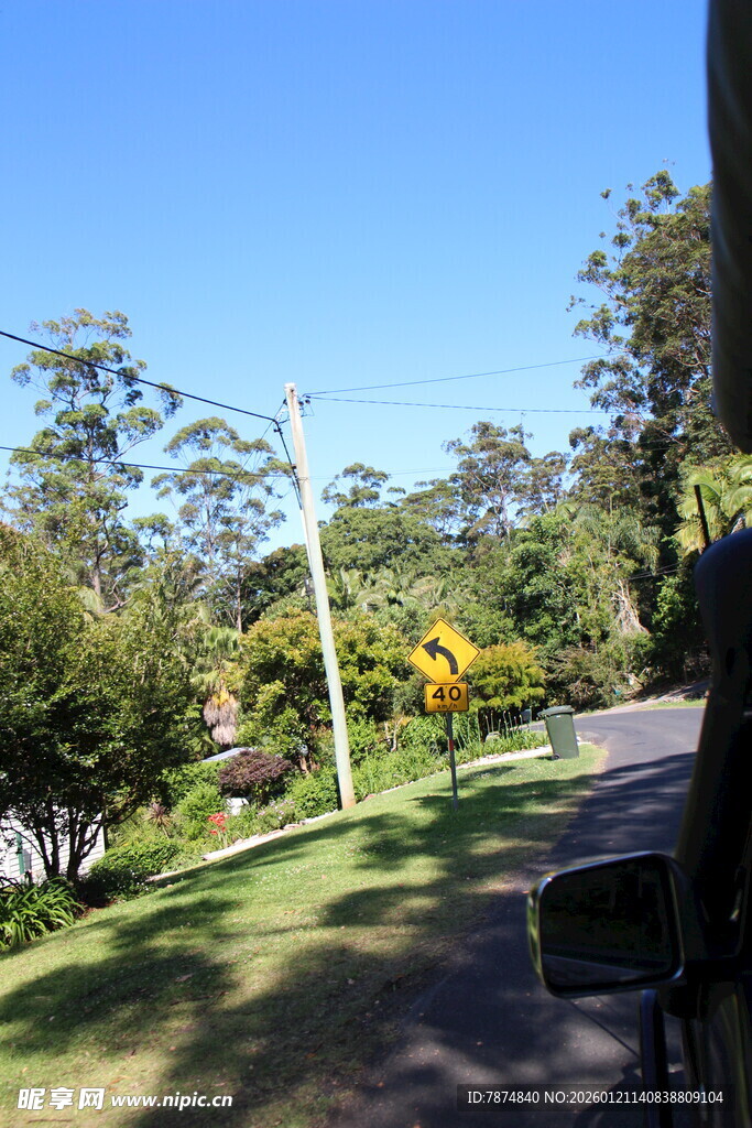 乡村林荫小道风景