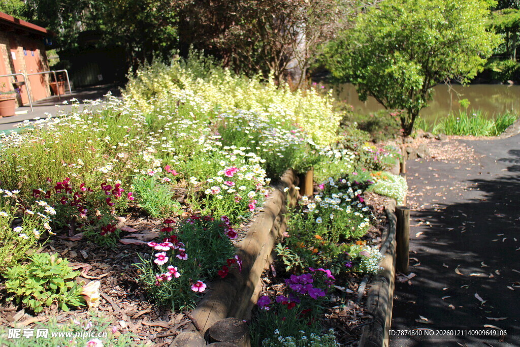 多彩花园景致