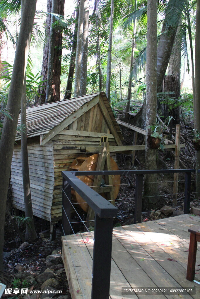 森林中的古朴小木屋