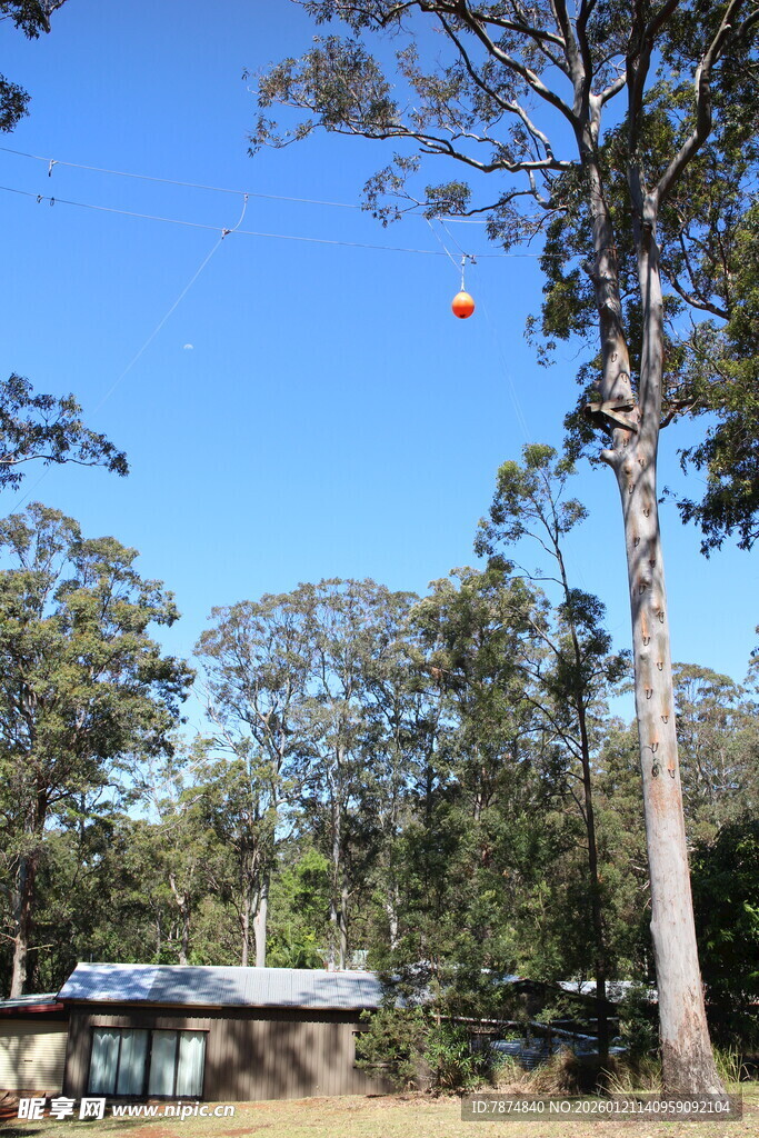 乡村林间小屋 晴空绿树
