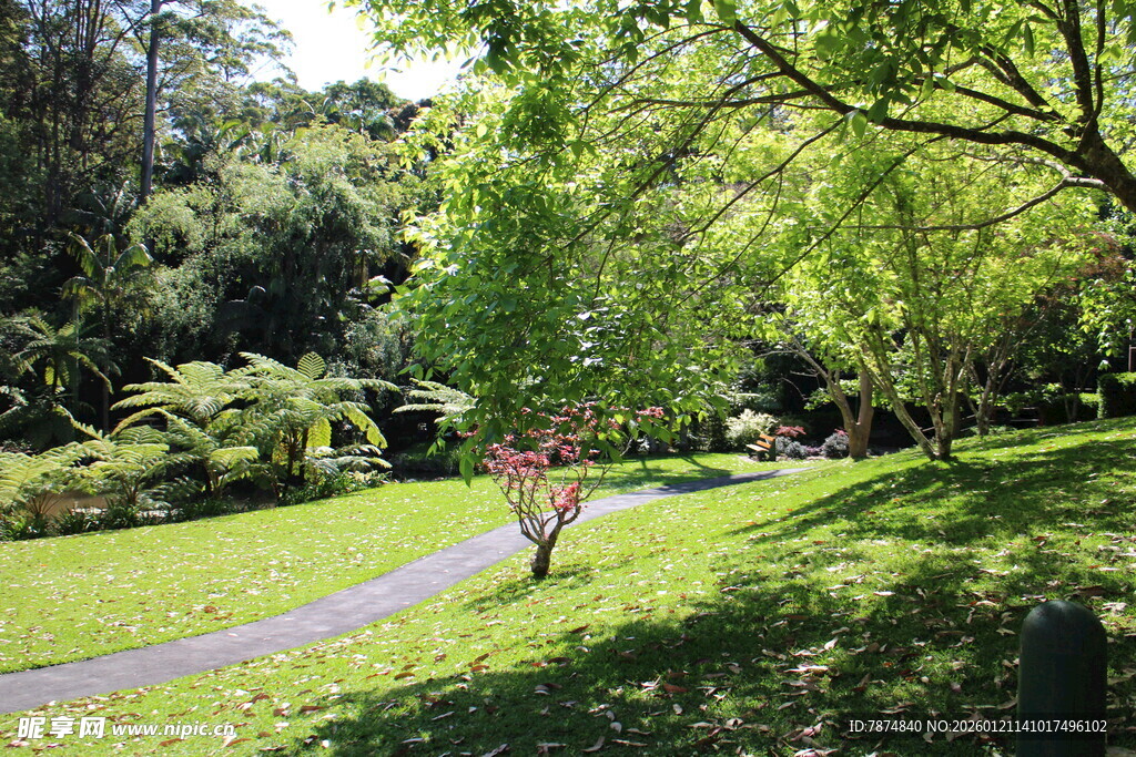 林间小径 绿意盎然的景致