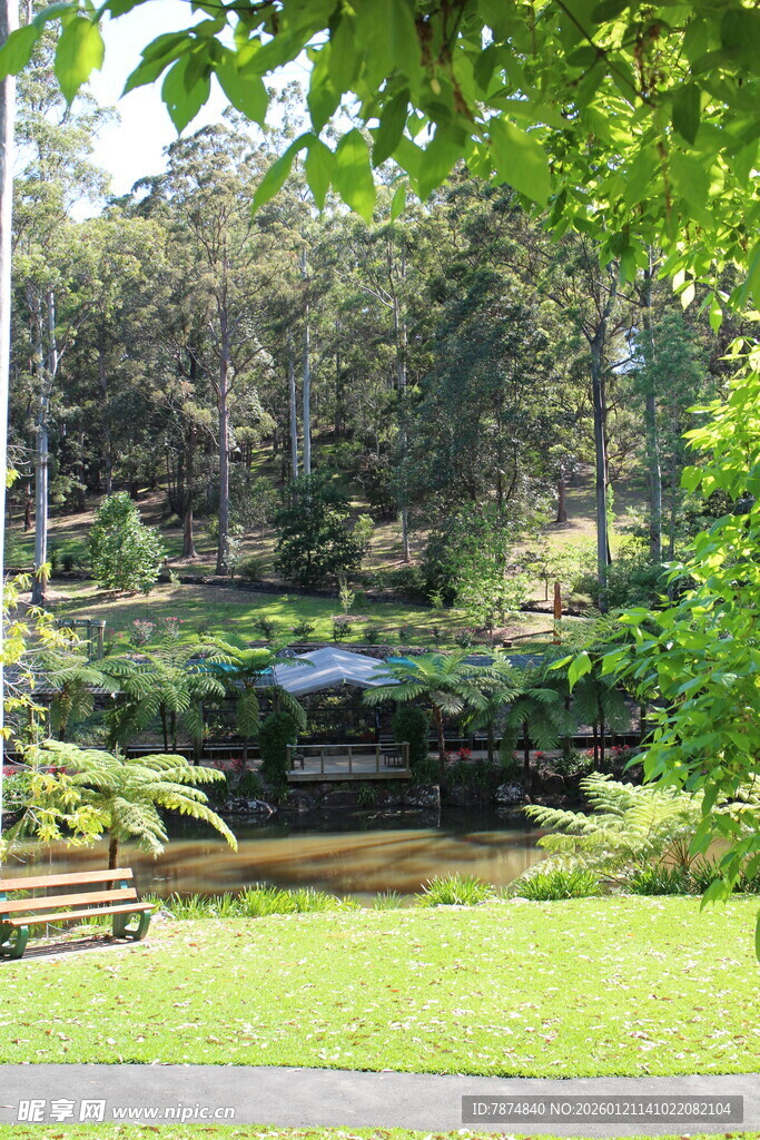 静谧林间河畔休憩美景