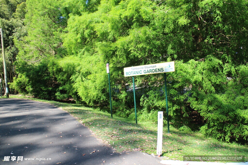 林间路标指引前行之路