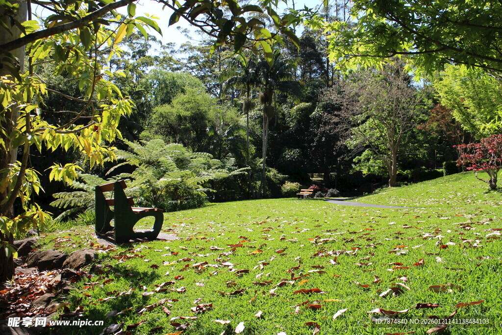 静谧花园中的休闲场景
