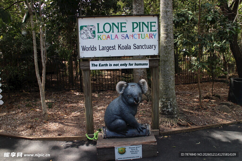 孤松考拉保护区标识