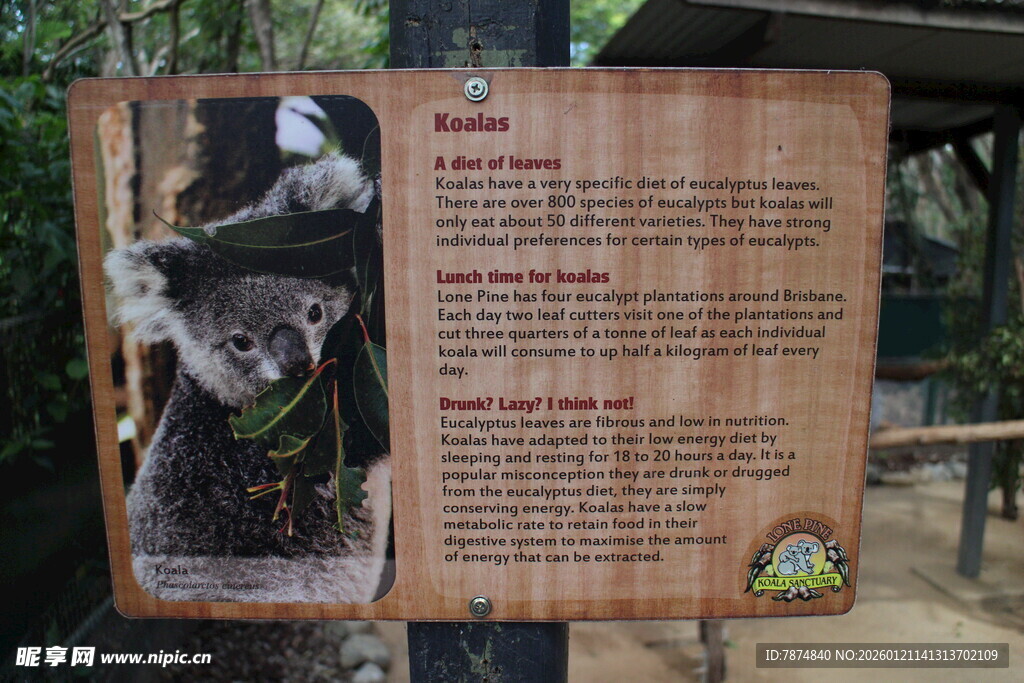 森林动物介绍展示牌