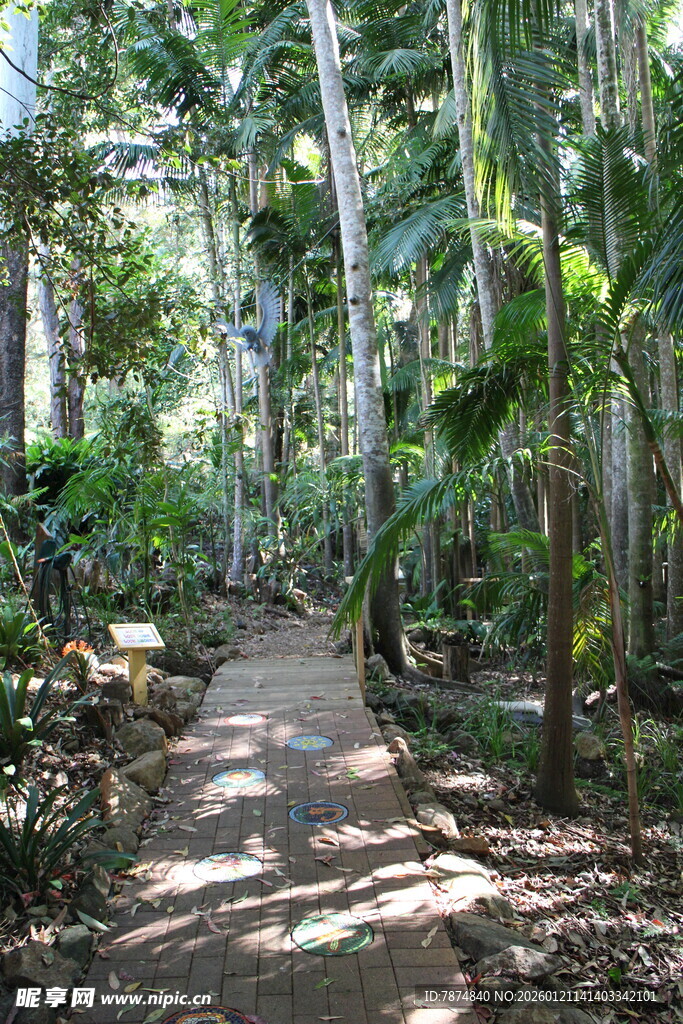 林间小径 畅享自然静谧