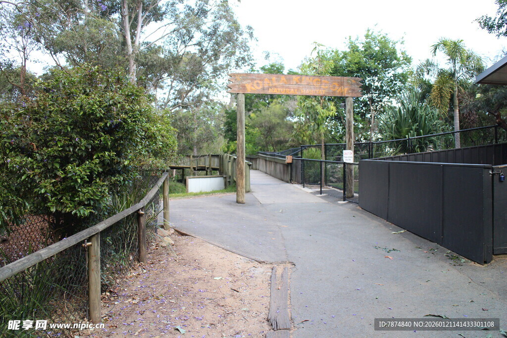 动物园入口处的林荫小道