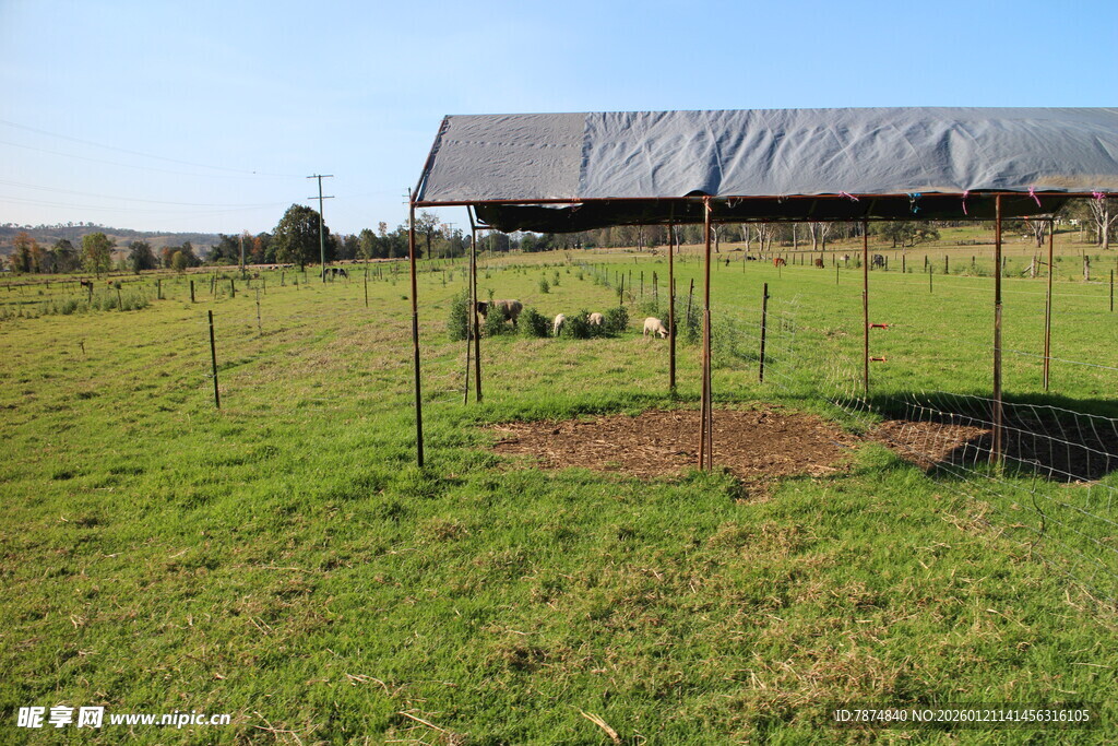 田野中的简易棚舍