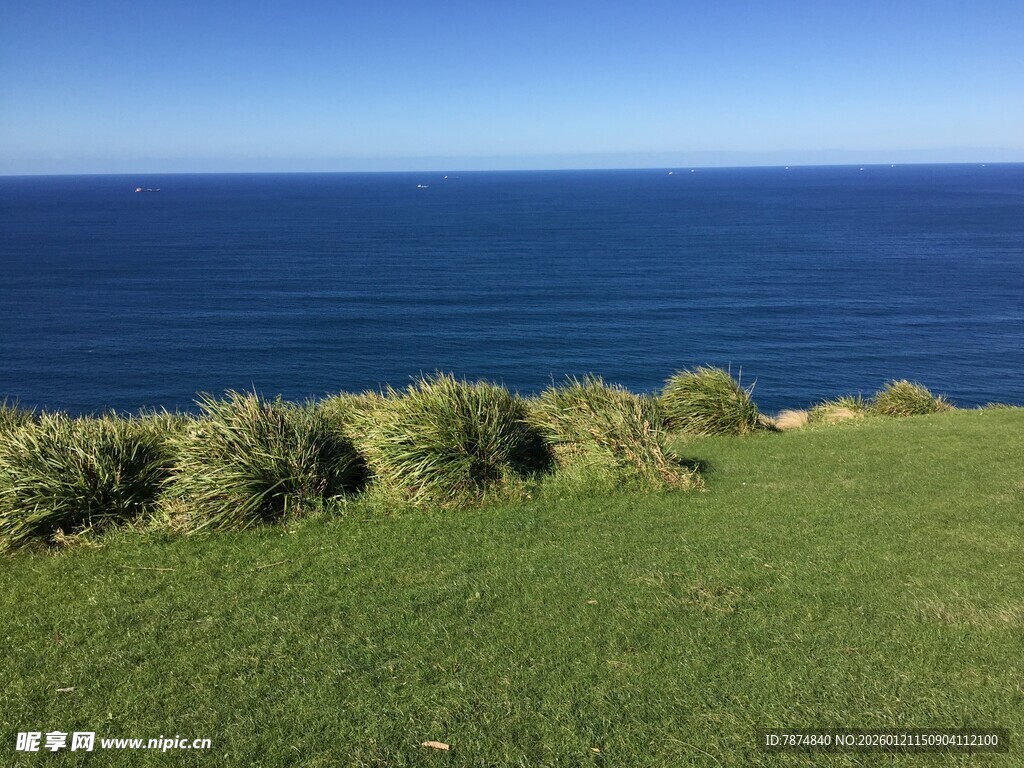 海边草地风光
