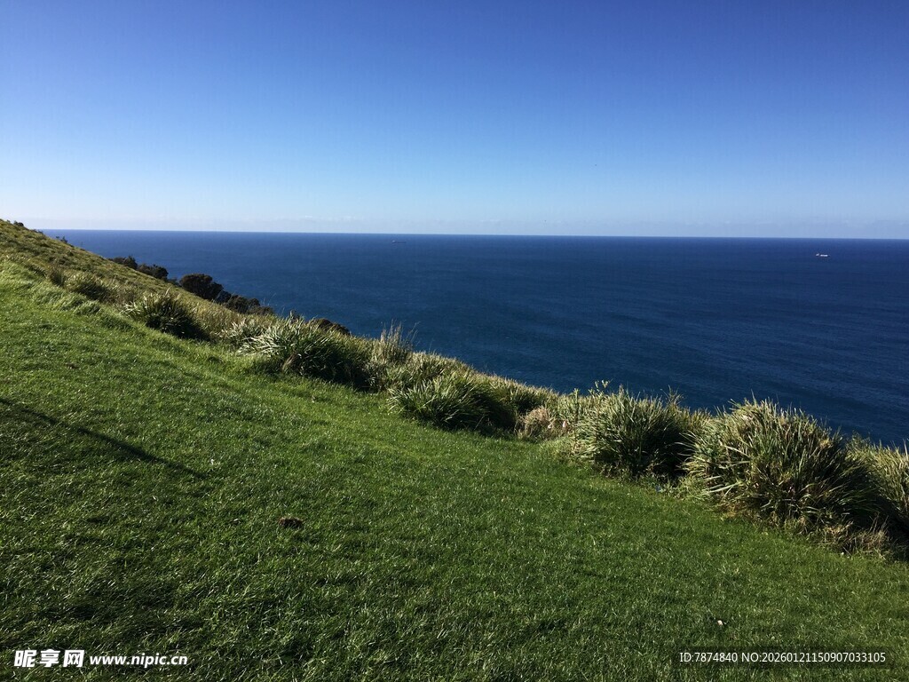 海岸边的翠绿草地与碧海