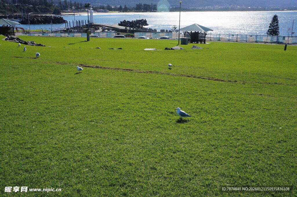 湖畔绿草地与休闲人群