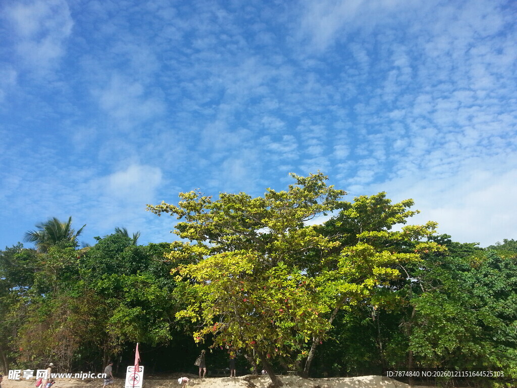 蓝天绿树间的清新景致