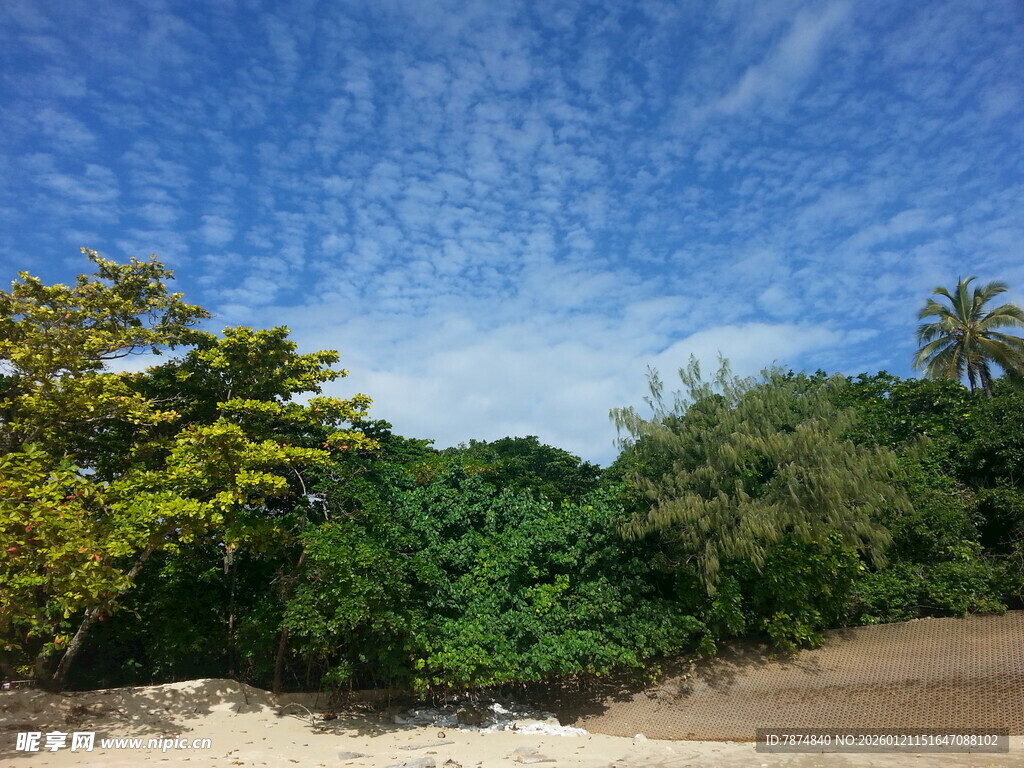 海边葱郁绿植与蓝天美景