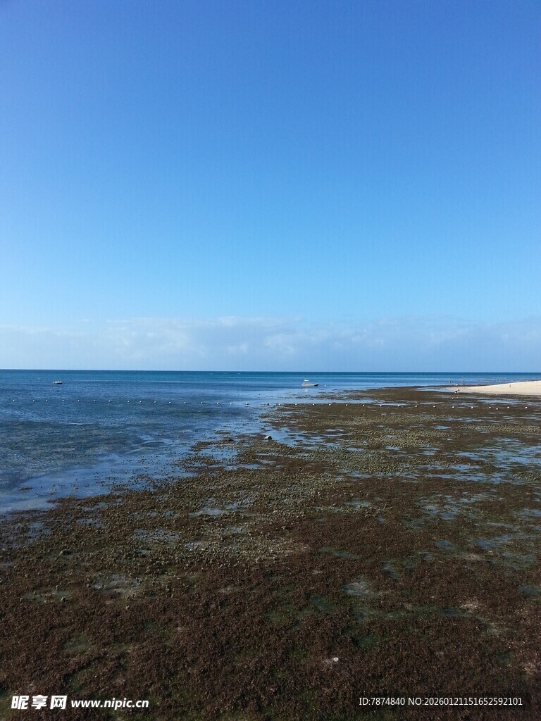 海边风光 清澈海水与浅滩