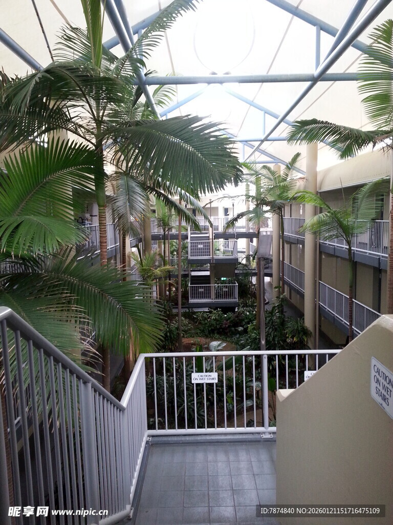 热带风情的酒店走廊景观