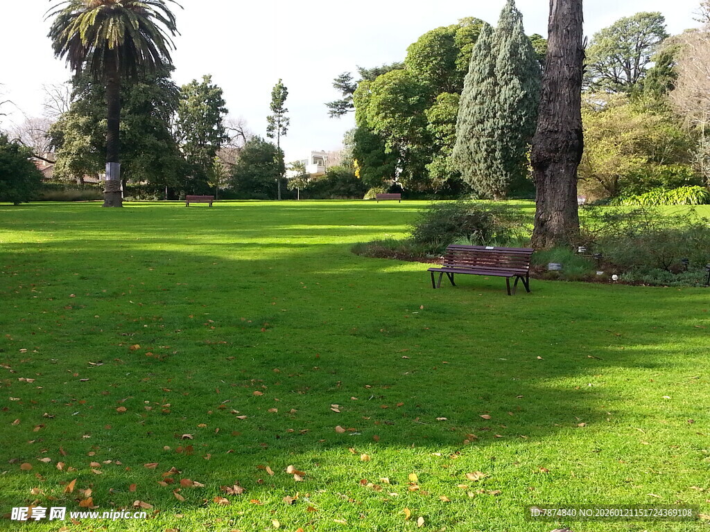 阳光照耀下的绿意公园