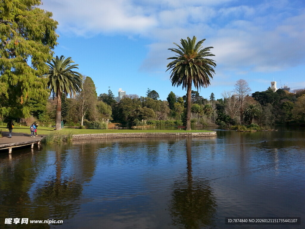 湖畔棕榈树风景