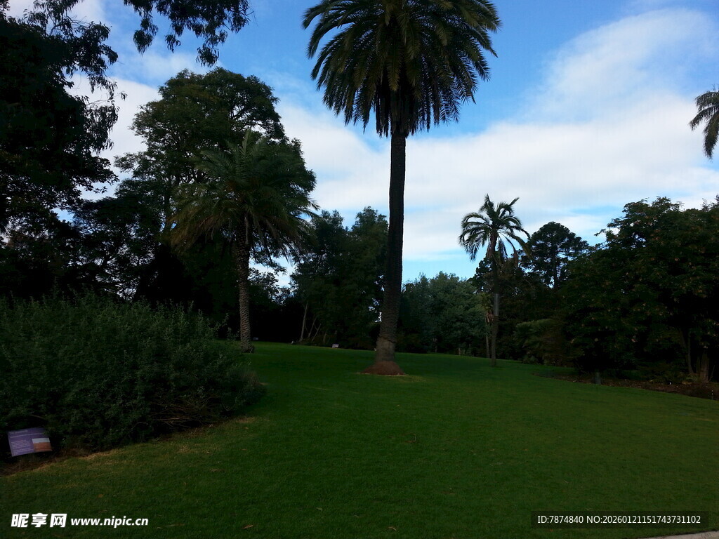 绿意盎然的户外园林景观