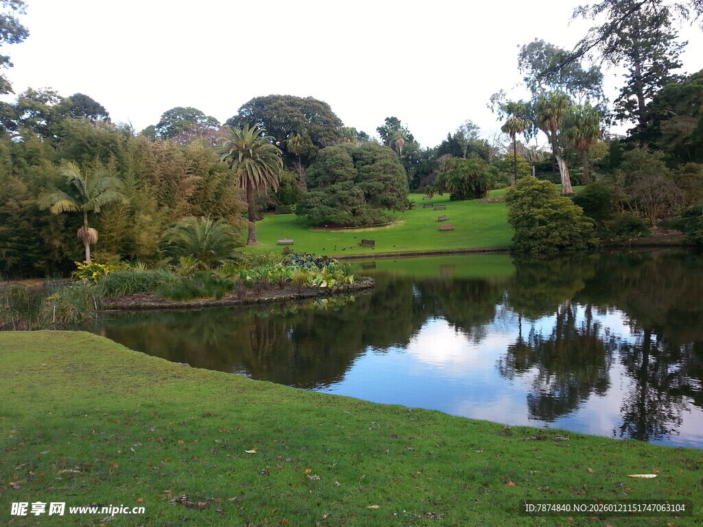 宁静湖畔的自然美景
