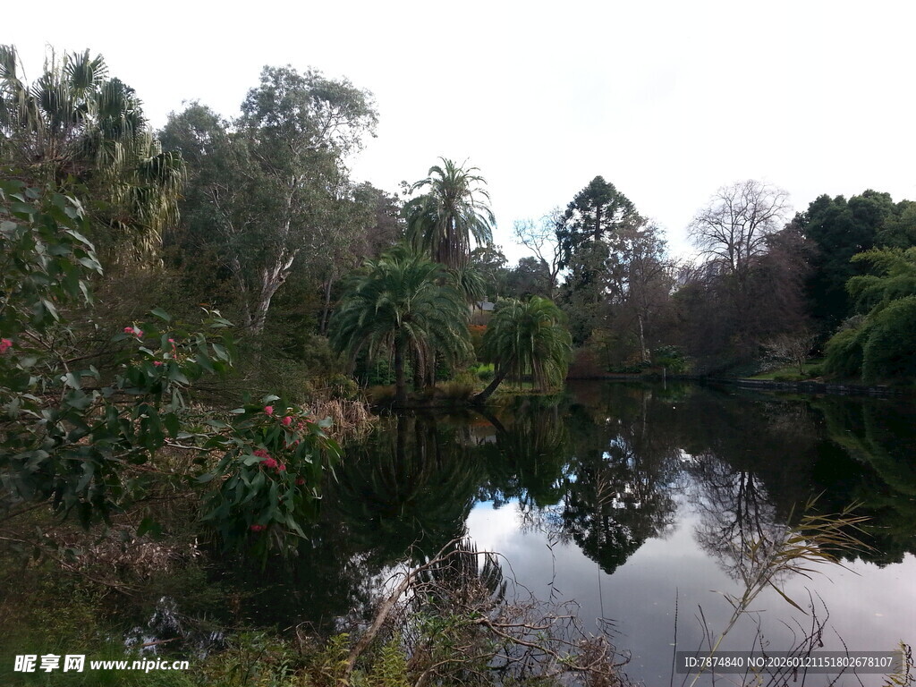湖畔绿植环绕的静谧风光