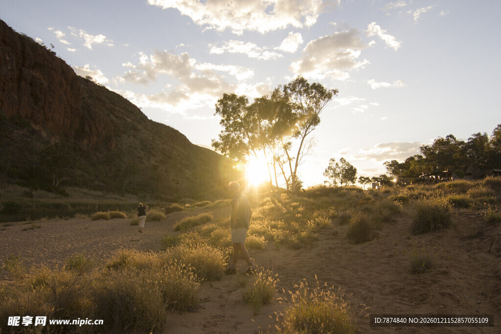 沙漠夕阳下的孤树