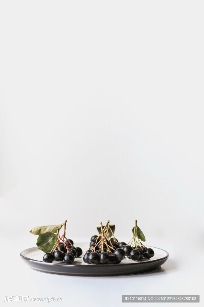 黑橄榄果