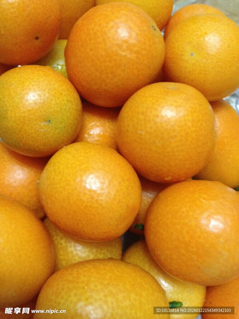 金桔