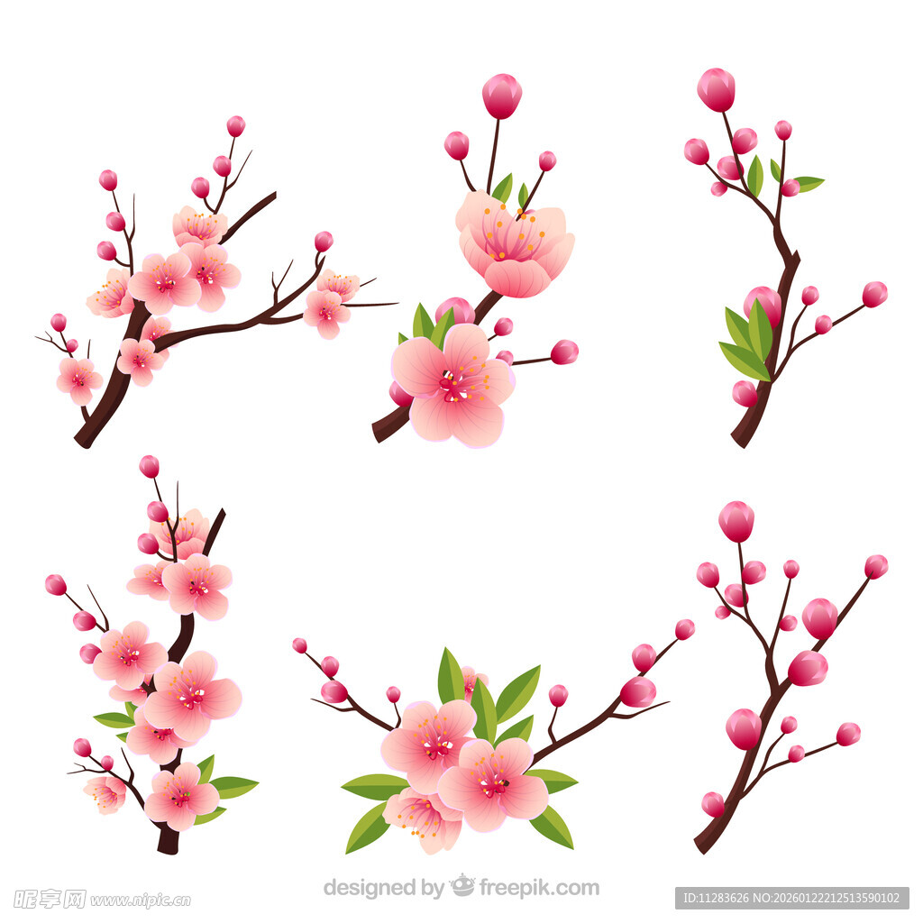 粉色桃花枝插画素材