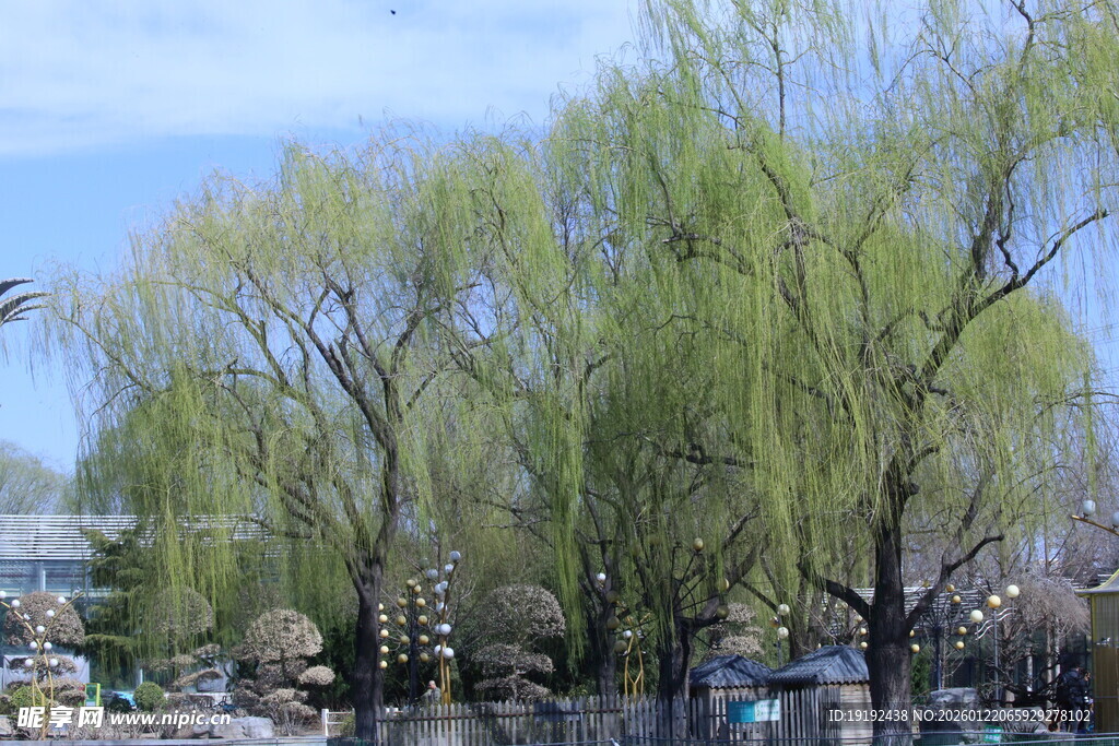 公园风景  