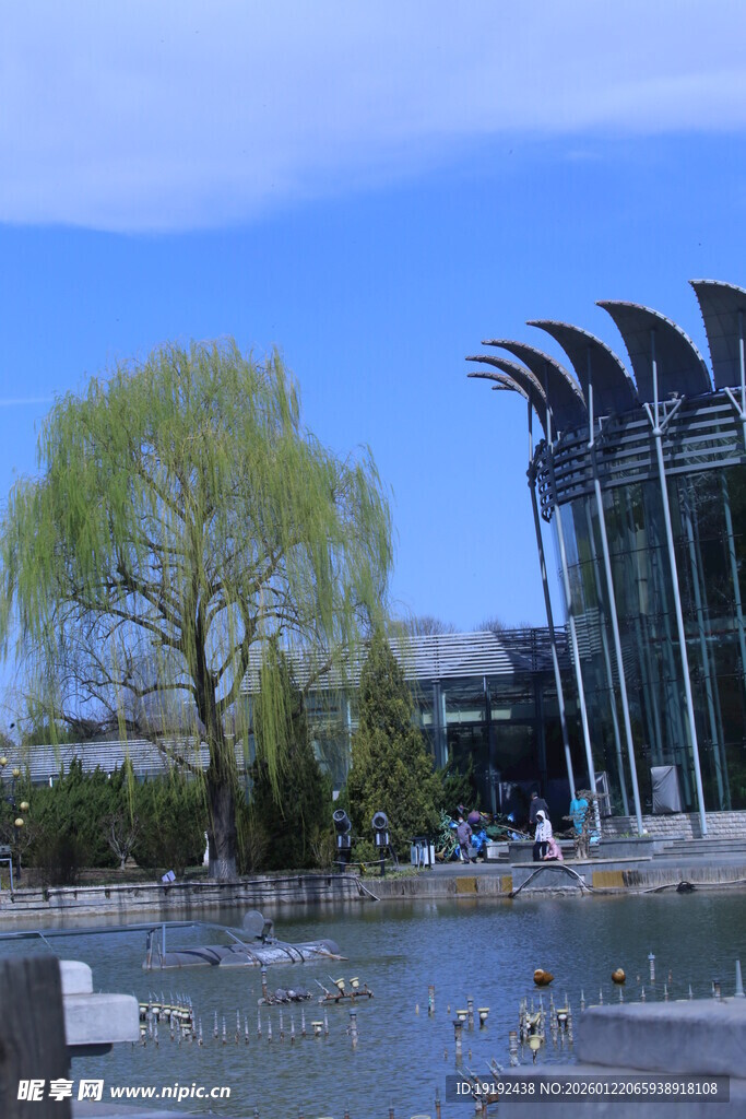 公园风景  