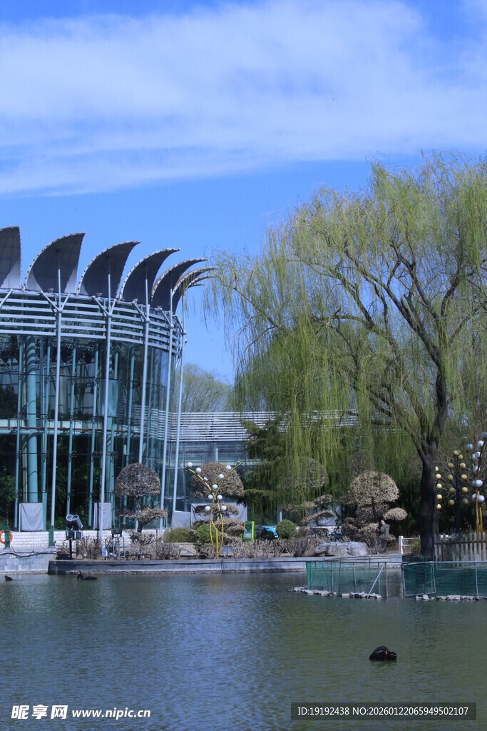 公园风景  