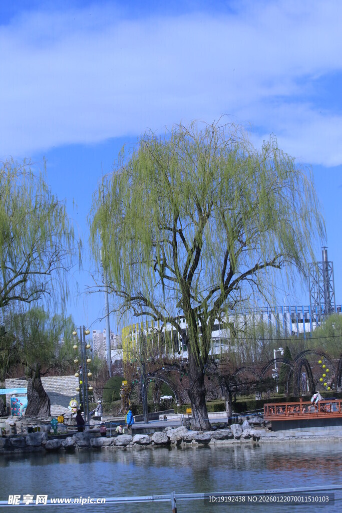 公园风景 