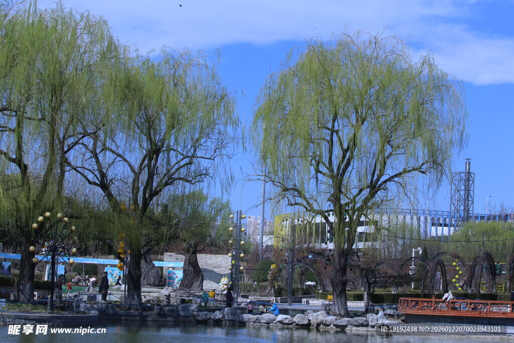公园风景  