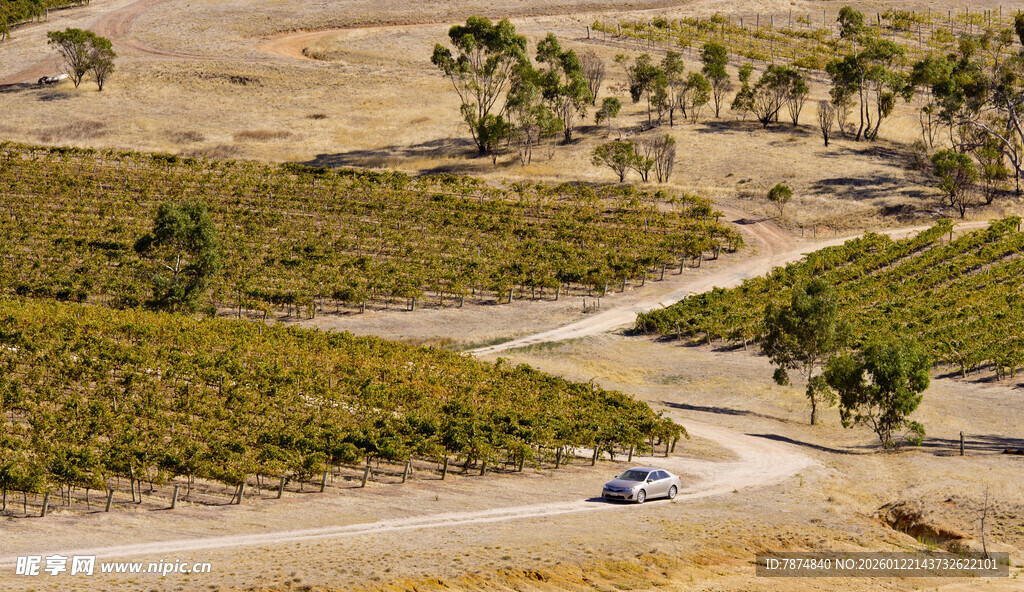 蜿蜒公路上的行驶车辆