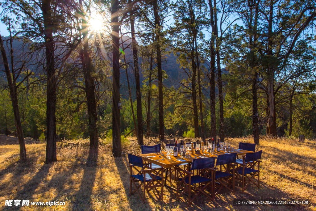 林间阳光餐桌享自然之美