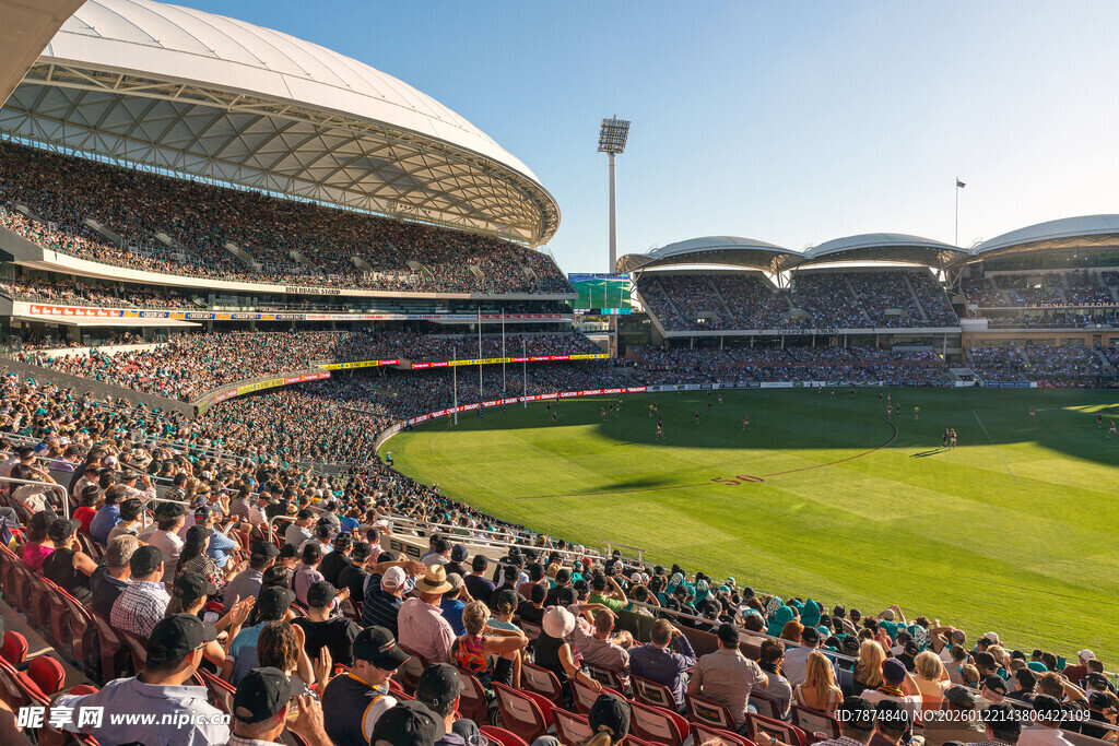 热闹的体育场观众席场景