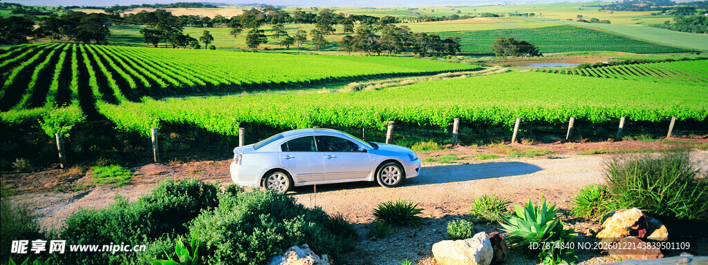 乡村公路上的白色汽车