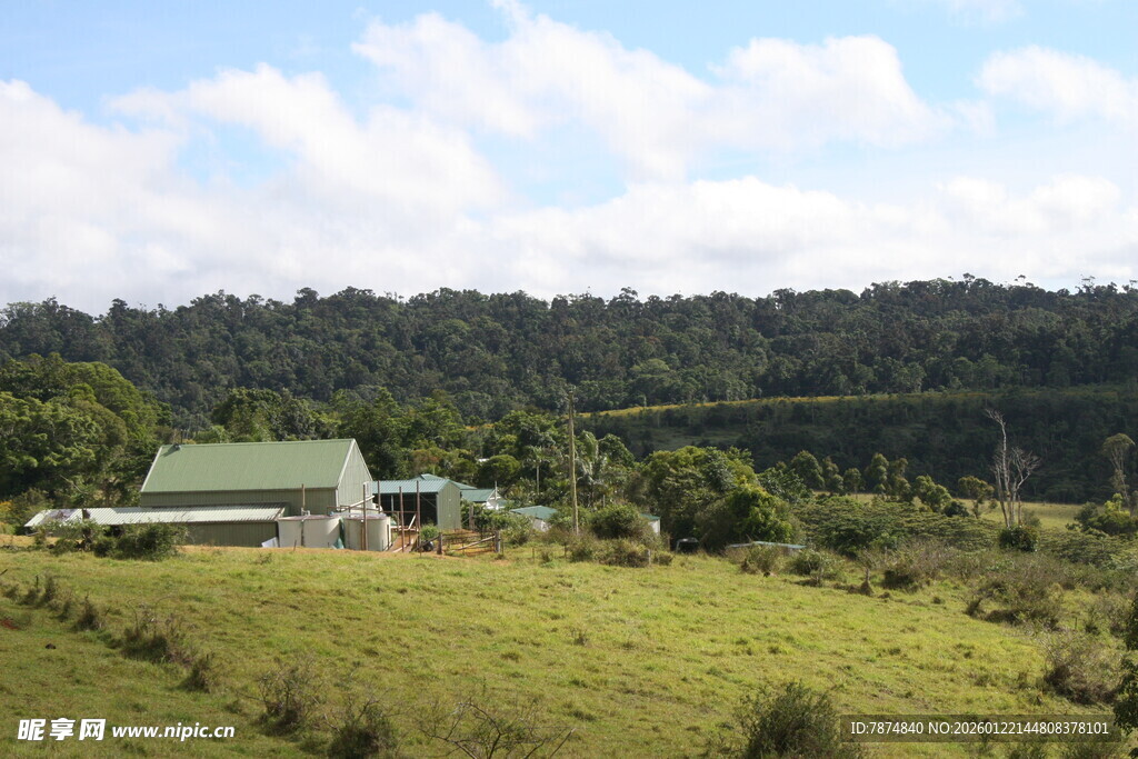 乡村绿野中的小屋