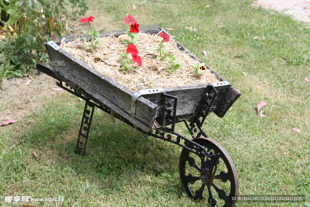 铁艺花车装点多彩花卉