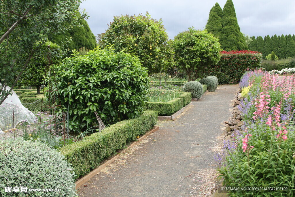美丽花园小径 绿植环绕
