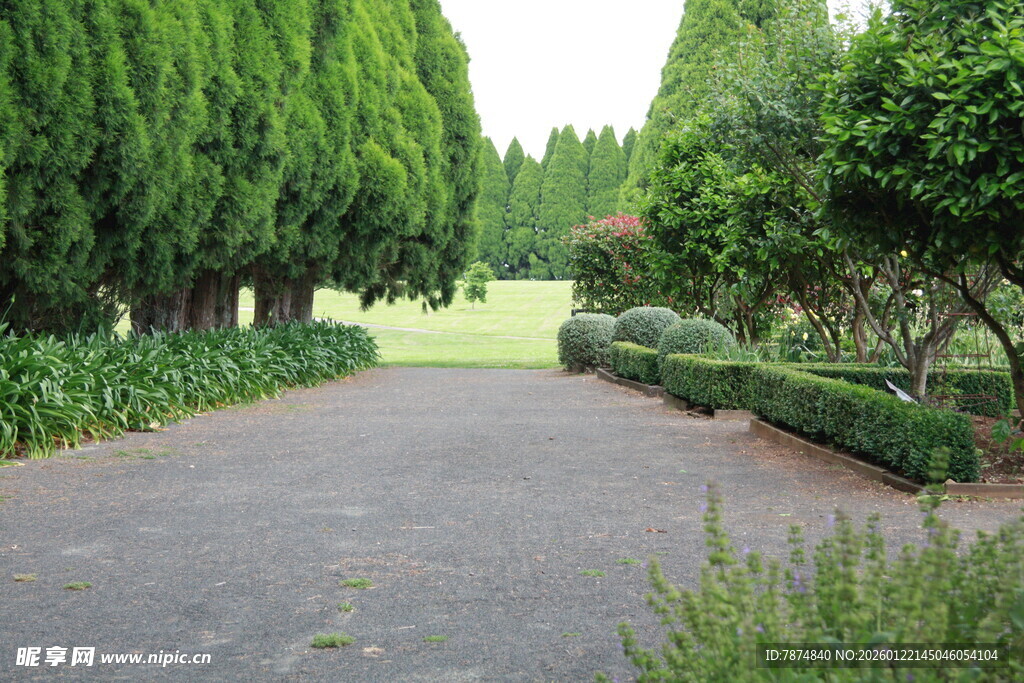林荫小道 静谧园林景致