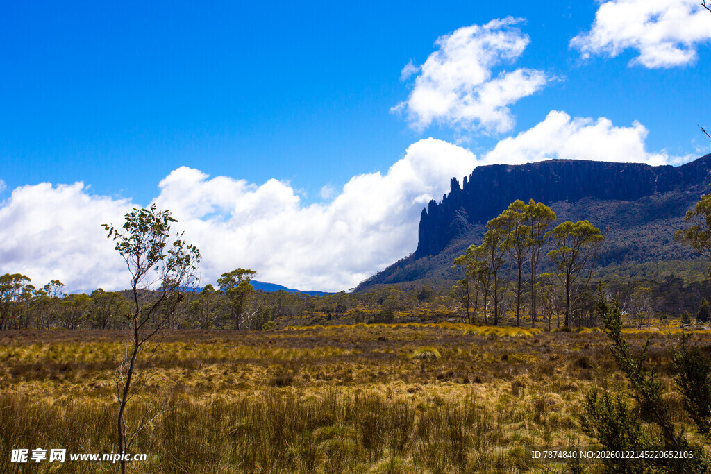 广袤原野与远处山峦美景