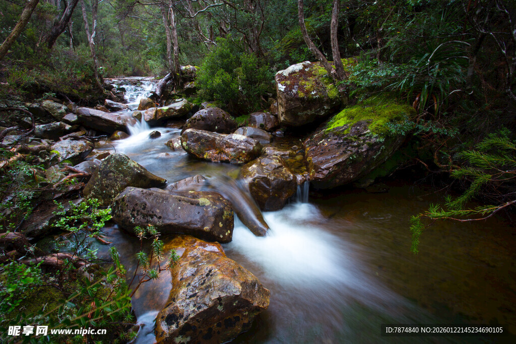 山间溪流潺潺 自然美景