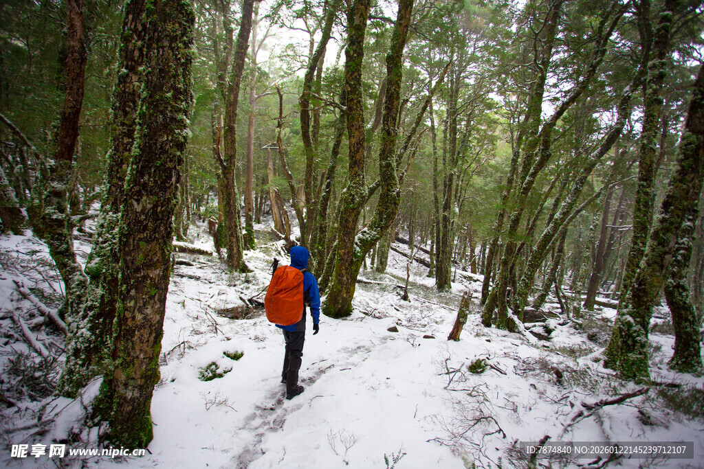 雪地林间徒步者