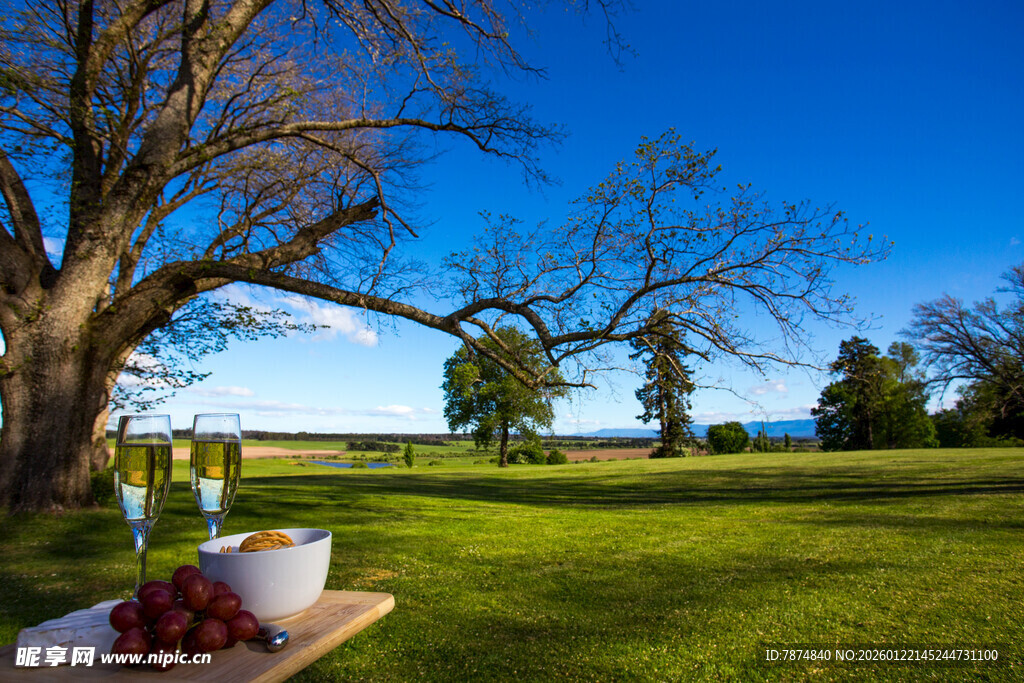 草地野餐美景