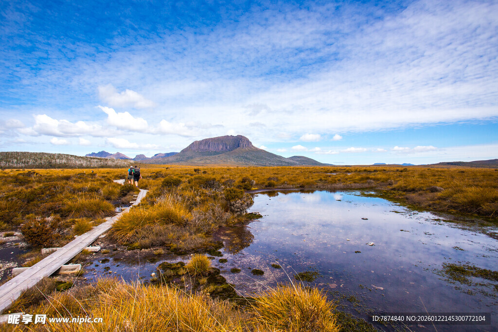 山间溪流边的美丽自然风光