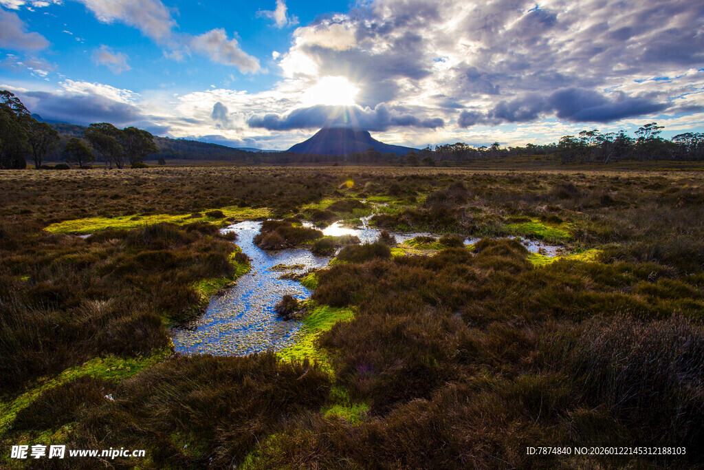 山间湿地溪流美景