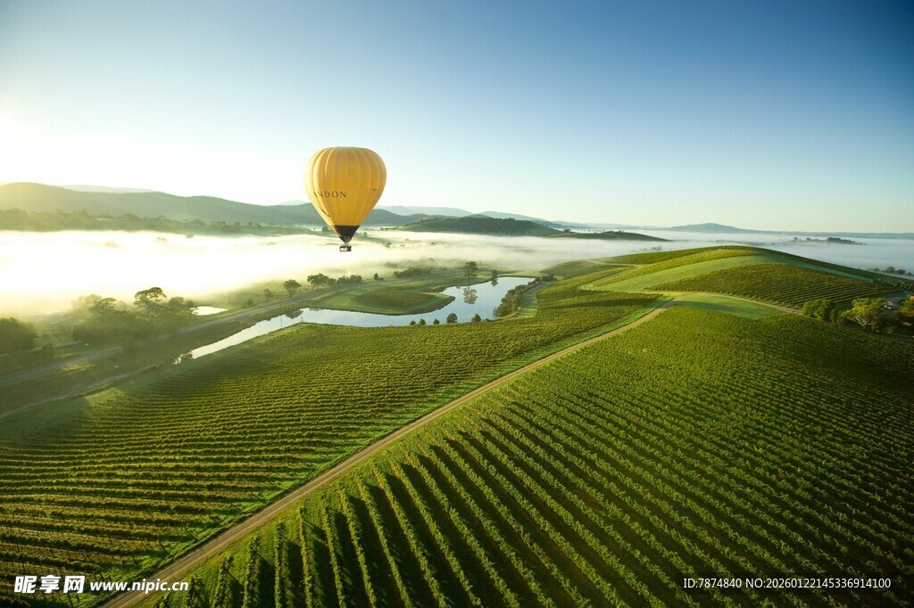 田园上空的热气球美景