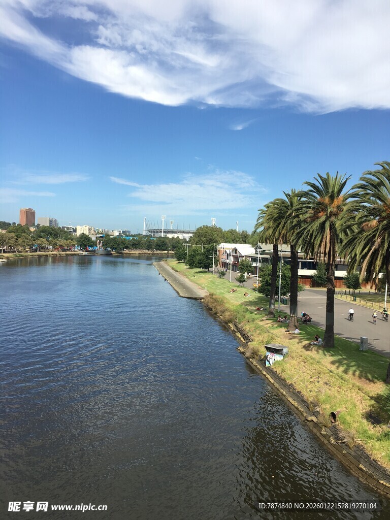 河畔风光 棕榈树与蓝天